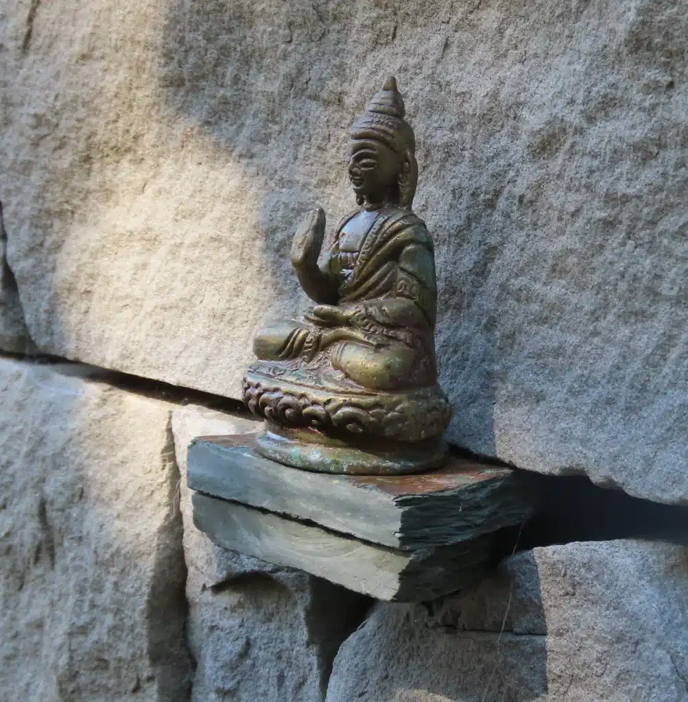 Irchelpraxis - Therapie, Prävention und Genuss.